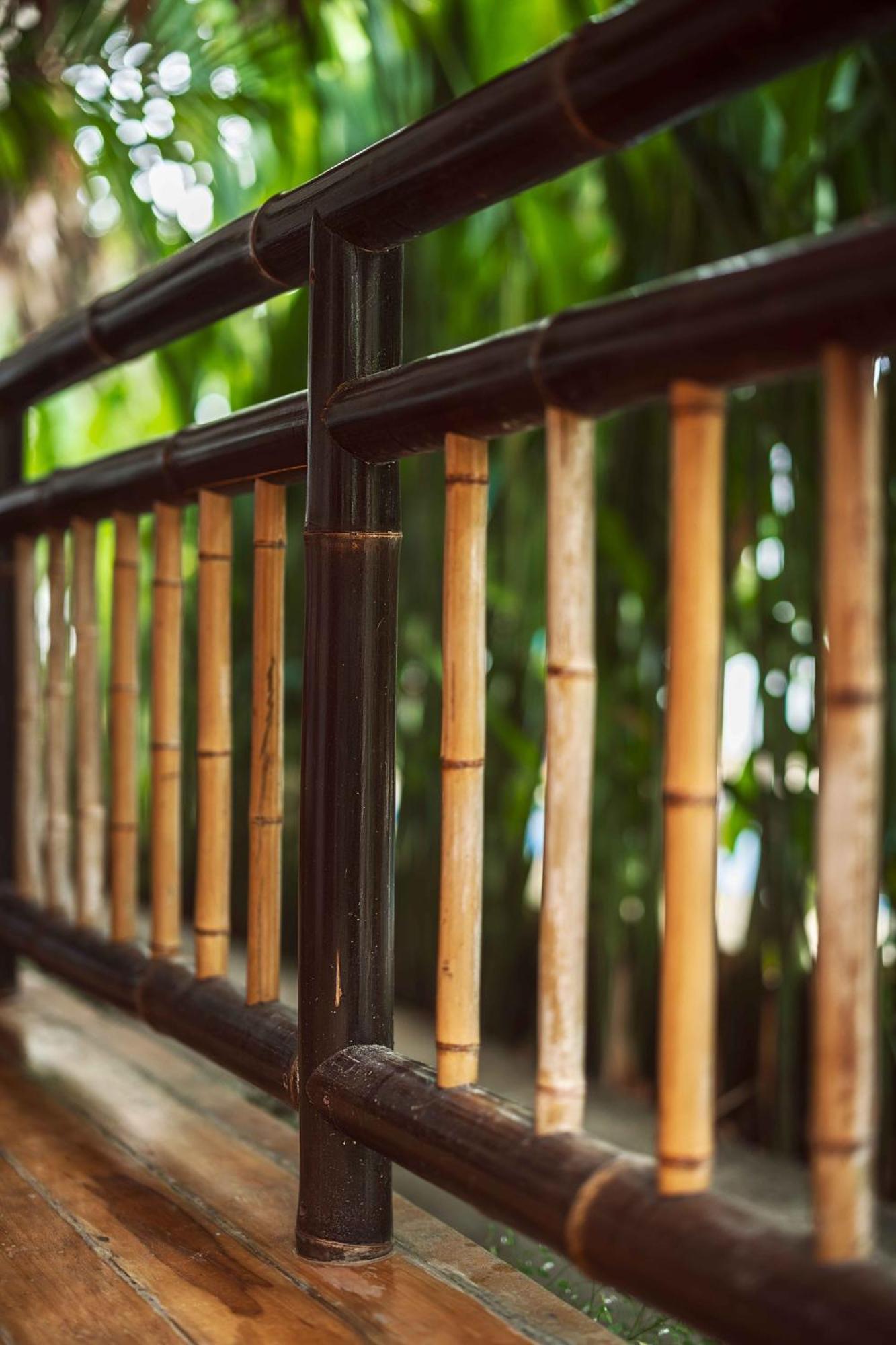Black Bamboo Puerto Viejo de Talamanca 外观 照片