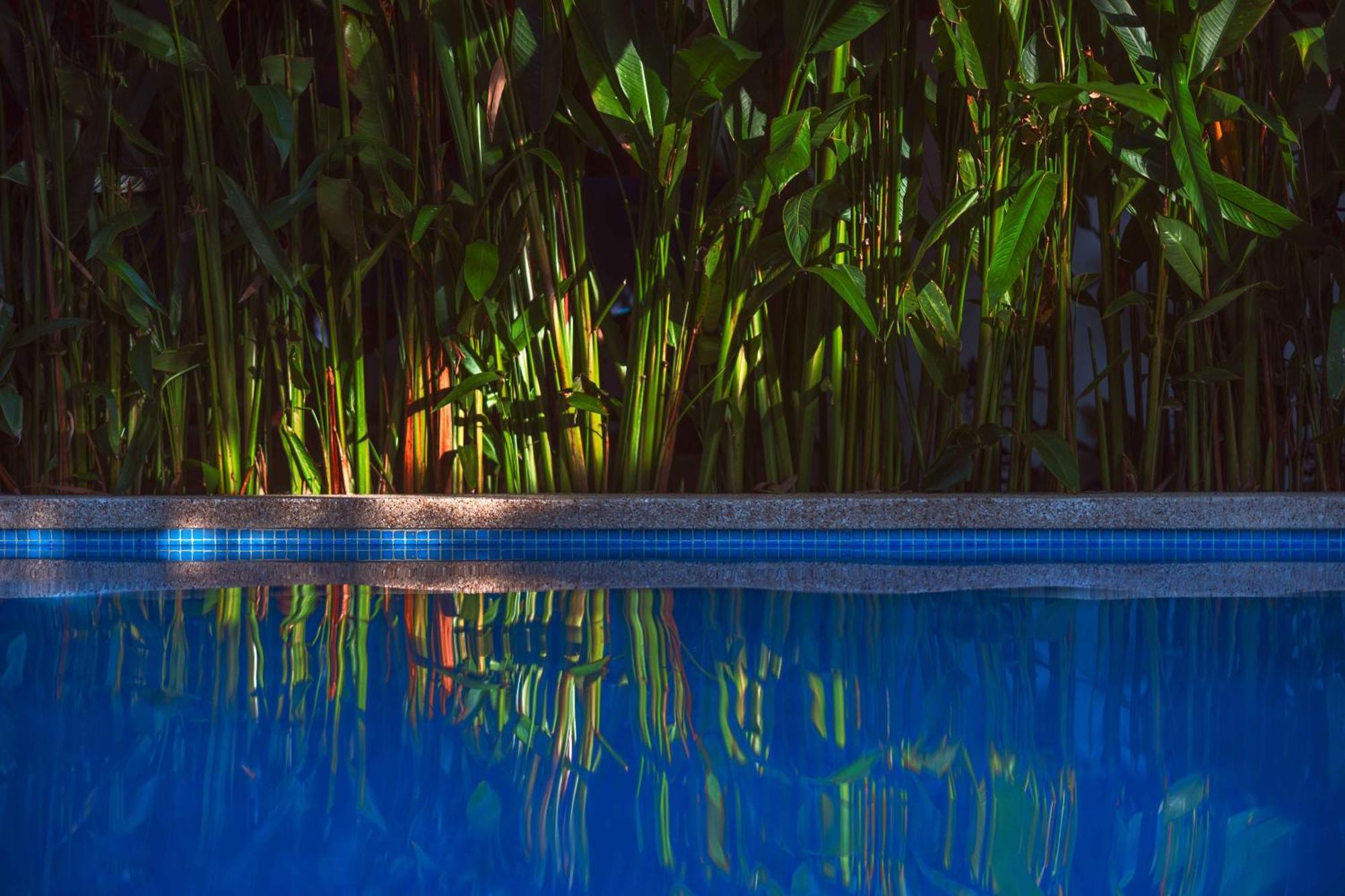 Black Bamboo Puerto Viejo de Talamanca 外观 照片